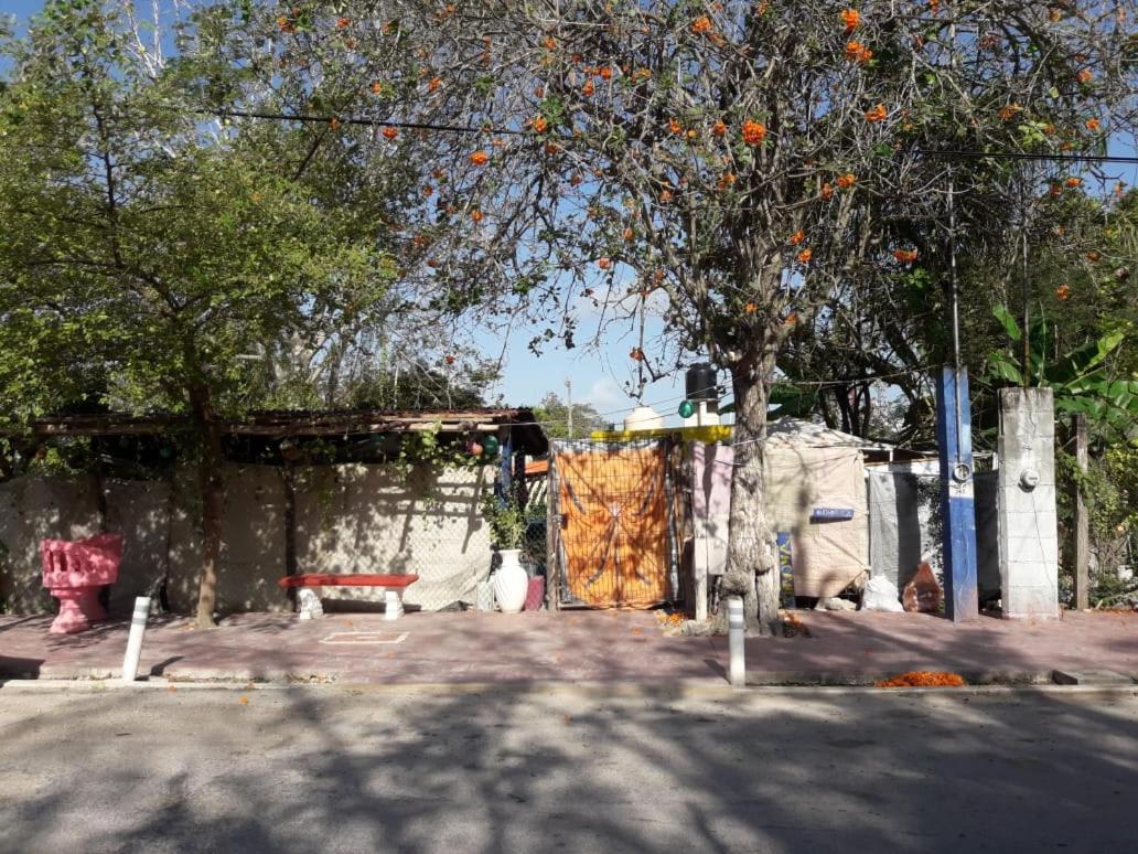 Hostal Y Camping Las G Bacalar Dış mekan fotoğraf